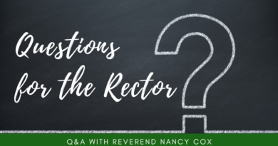 Questions for the Rector